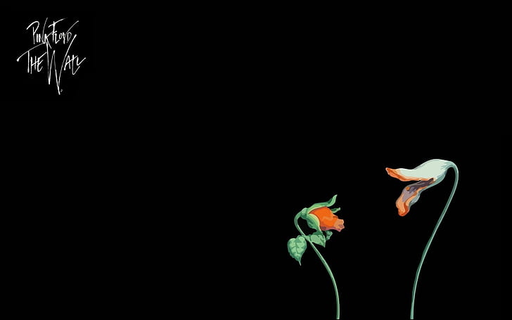 movie-pink-floyd-the-wall-hd-wallpaper-preview.jpg.e442ae078689dfd1c4f08d04b2b497c9.jpg