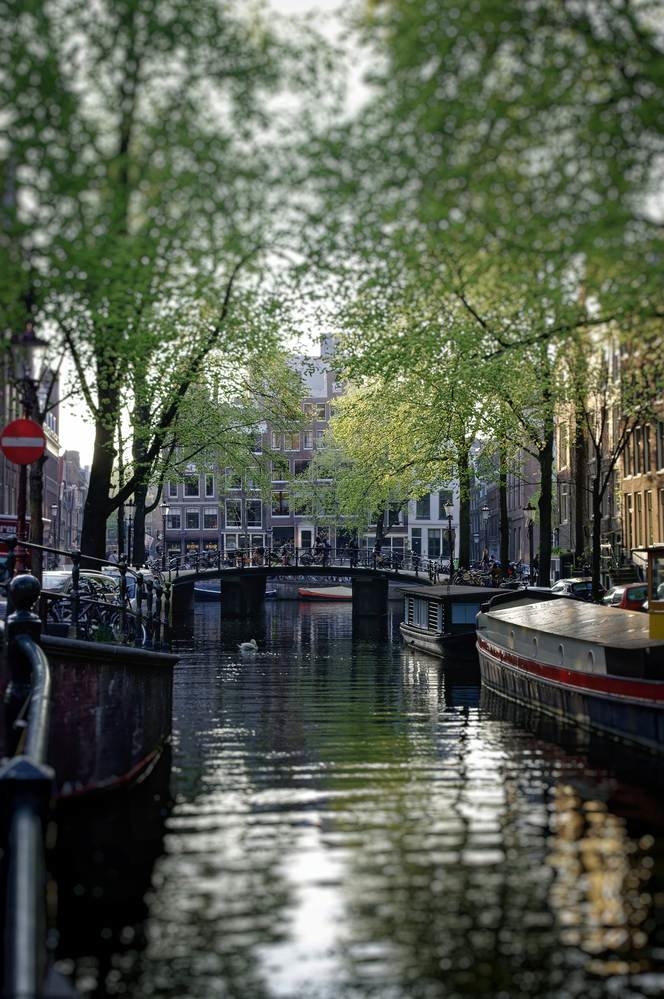 1963570405_canalamsterdam.jpg.87629436188a55f22e2883e76f03a043.jpg