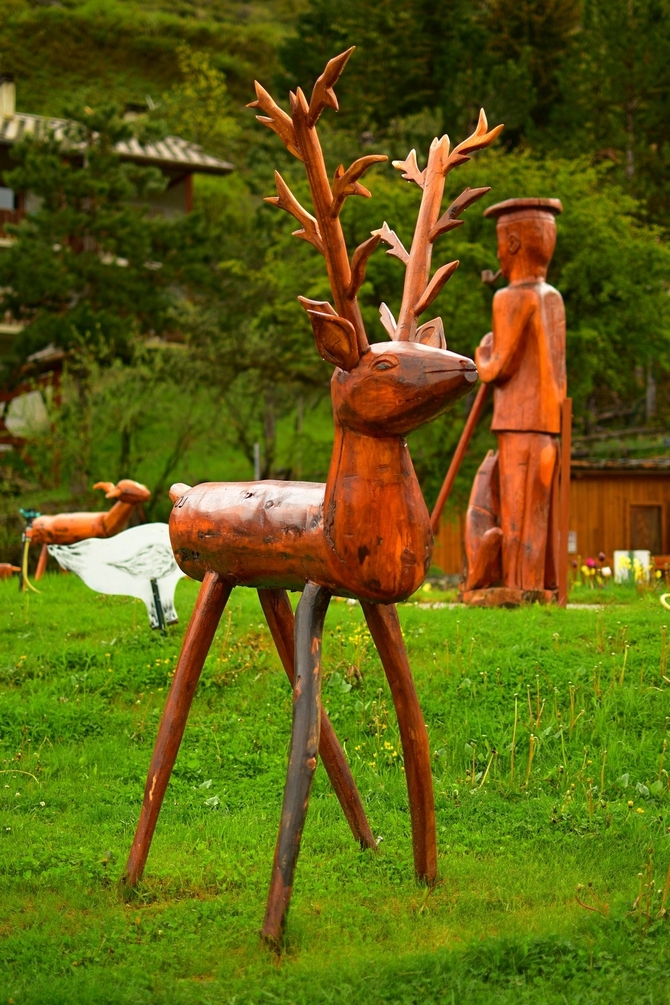 Un cerf.jpg