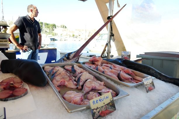 Poissonnier.JPG.d0a951a9e85d611ab89adde37f99f0a9.JPG