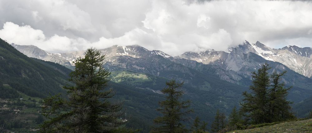 176965899_Panoramaherbeblanche2.jpg.f62a60533bc8a4ac26438de97a4f0dae.jpg