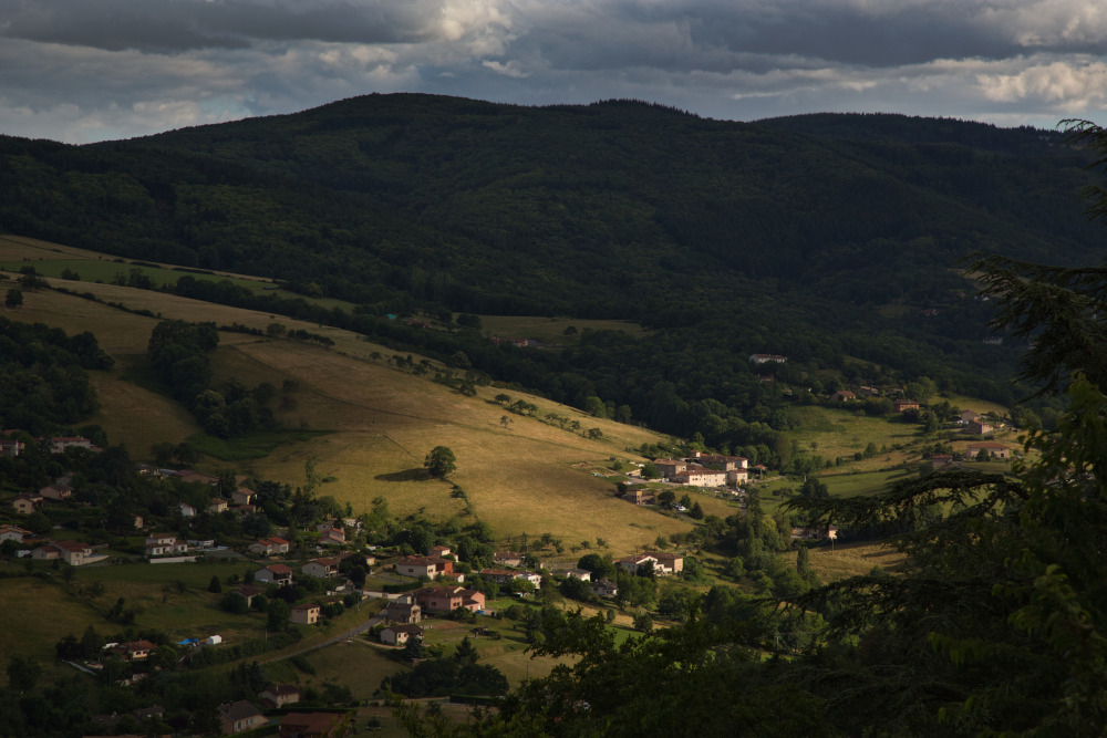 1N5A9163.jpg.f6c96e6cd7bdfe31ffbfa4fd2cd91f2f.jpg