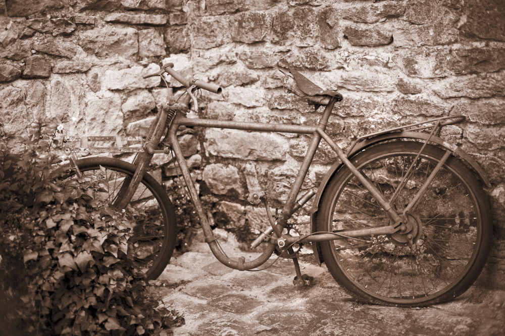 2014143795_lavieille9608.jpg.fa9a0cf6a43ea82d3789925b3d3e3c9e.jpg
