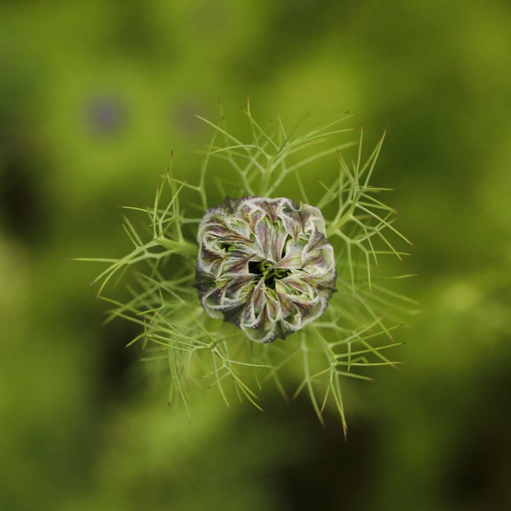 2G6A5205.JPG.2f59666c9a7c5a4610ab95cbdfde06cc.JPG