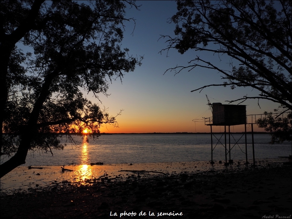 Carrelet_Matin_2_1000.jpg.80818deb808c76f5796d57359174ac9d.jpg
