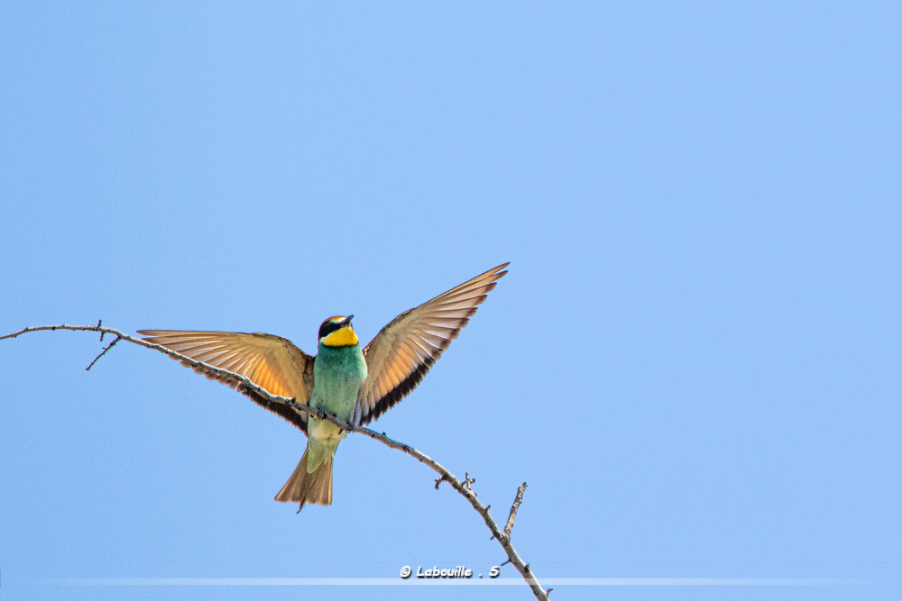 FlickR-1838.jpg.ec5046ef45f2549d91ebb3d930037c05.jpg