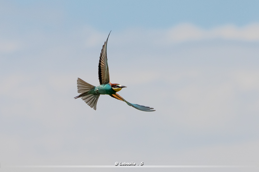 FlickR-1911.jpg.835b1ca3944a71e8ede26d6d2f47d3e0.jpg