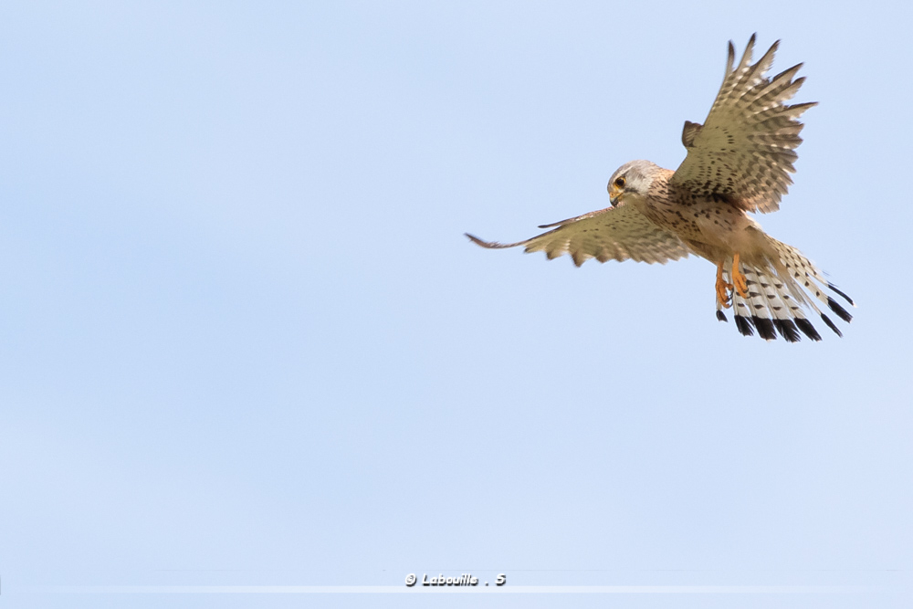 FlickR-2252.jpg.2ec6264973bebd23c42b1334870ed7c6.jpg