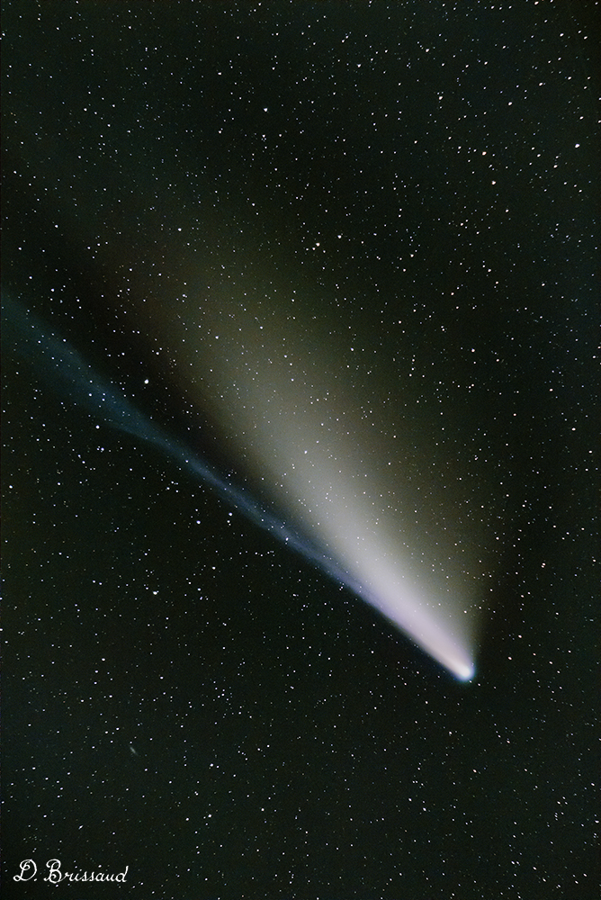 818164403_c2020f3neowise.jpg.d1af33ba3f60971f8029fee1d6732b64.jpg