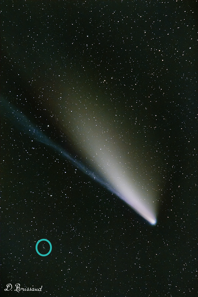 823228489_c2020f3neowise_2.jpg.6b8ff96718898fee98eb48af0eaad7f5.jpg