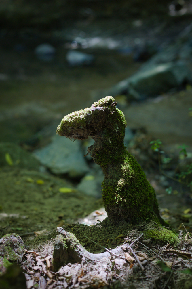 T-REX.jpg.5e52f5c786b9a6a11085b6e58a7a74fb.jpg
