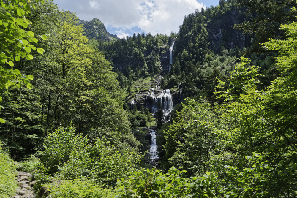 _DSC2837_DxO.jpg.e04087144476decdf6628cb48bcaf426.jpg