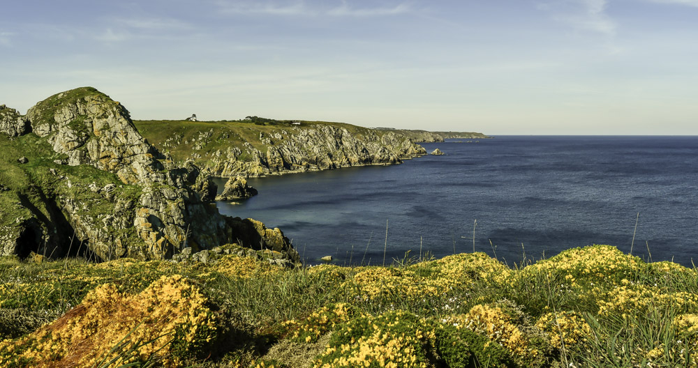 _DSC2843-1.JPG.280575fe2a04d27523d9ae5d26ce092e.JPG