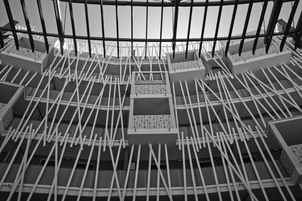 _DSC3183_DxO.jpg.158aa1511836d43355f55ab5bcb5cbd0.jpg
