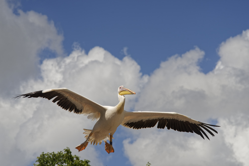 _DSC3268_DxO.jpg.89215d091ddb69c79ef2196a79b0f1b5.jpg