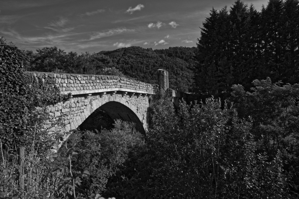 _DSC3455_DxO.jpg.1447caf2f960aad98a0a55d9f883d219.jpg