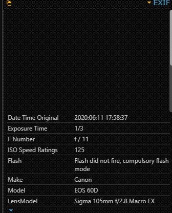 exif potochat.JPG