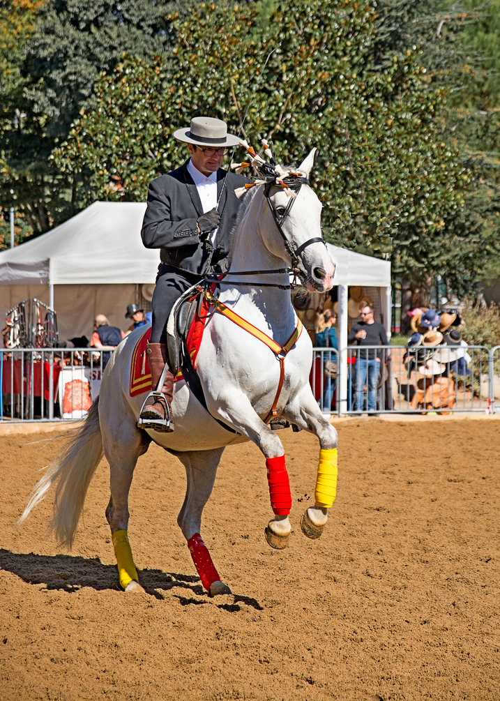 DSC_3158 - Copie.jpg