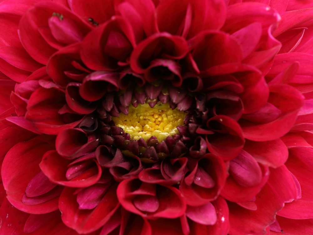 2G6A5662.JPG.385bdc0ea31dbca9347be416e86d996e.JPG