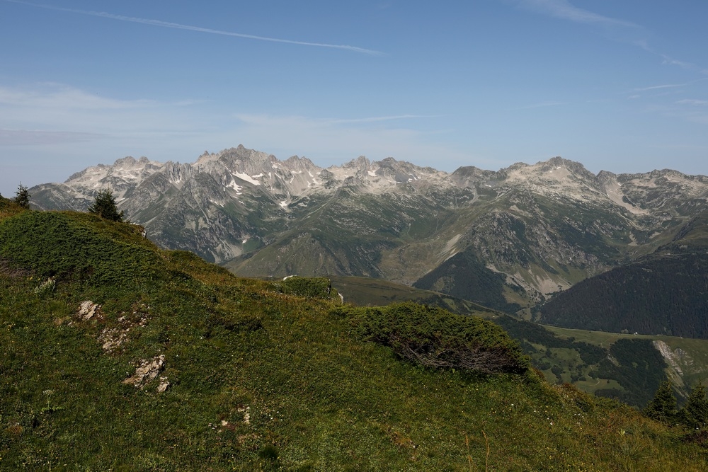2G6A6493.JPG.2983e207e9ddea2133d1b643f8a2d8b0.JPG