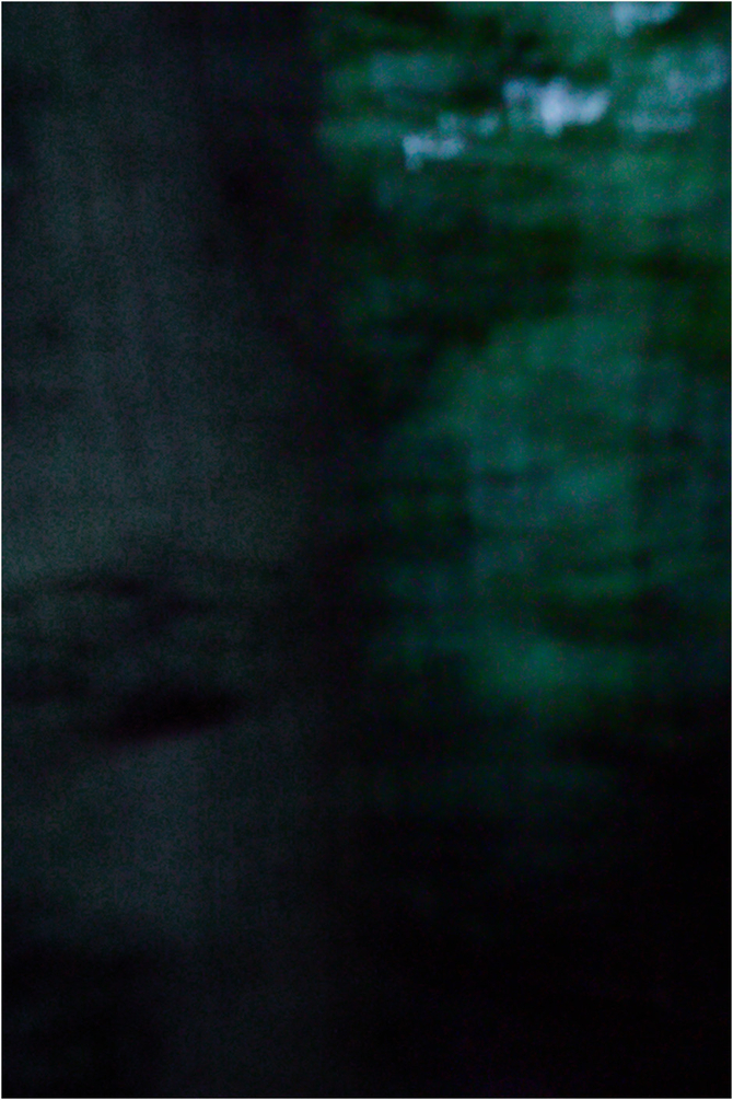 Impressions balade nocturne en forêt.jpg