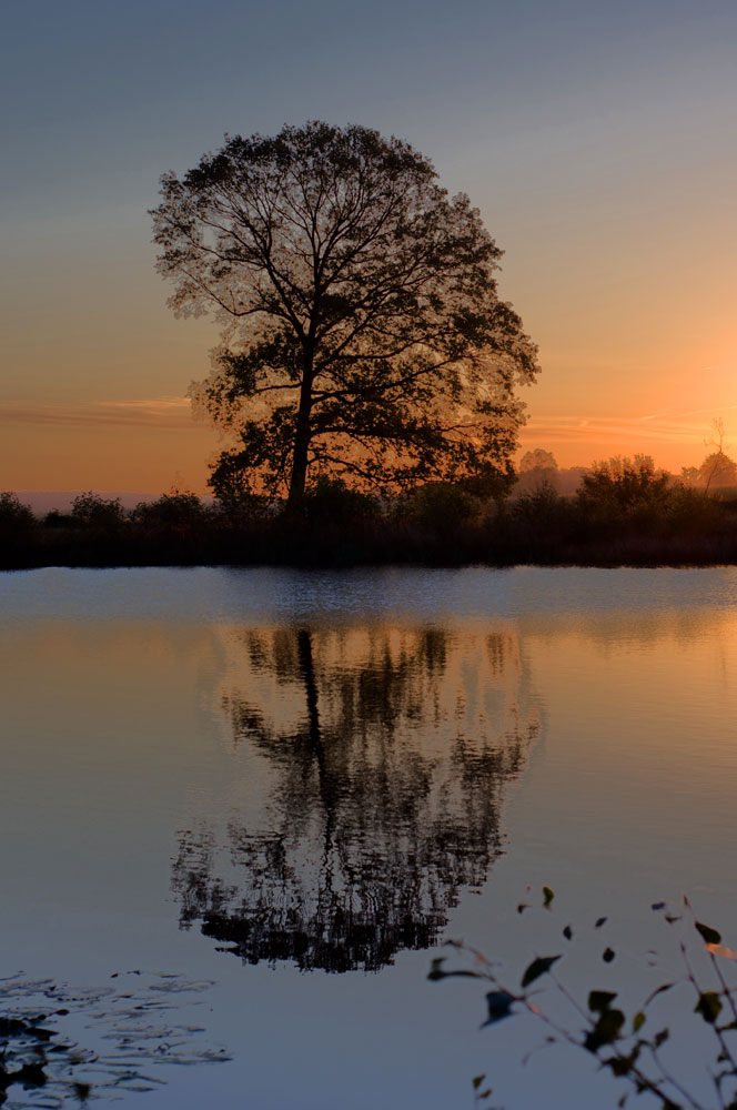 Crepuscule.jpg.c9654b570a1262bec8392977aaef0f00.jpg