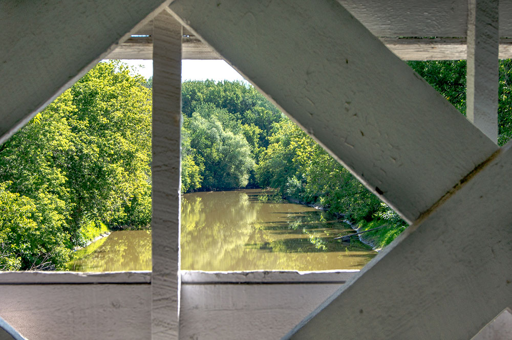 DSC08407web.jpg.c6d95c2255adae2c2e3140c74fcea860.jpg