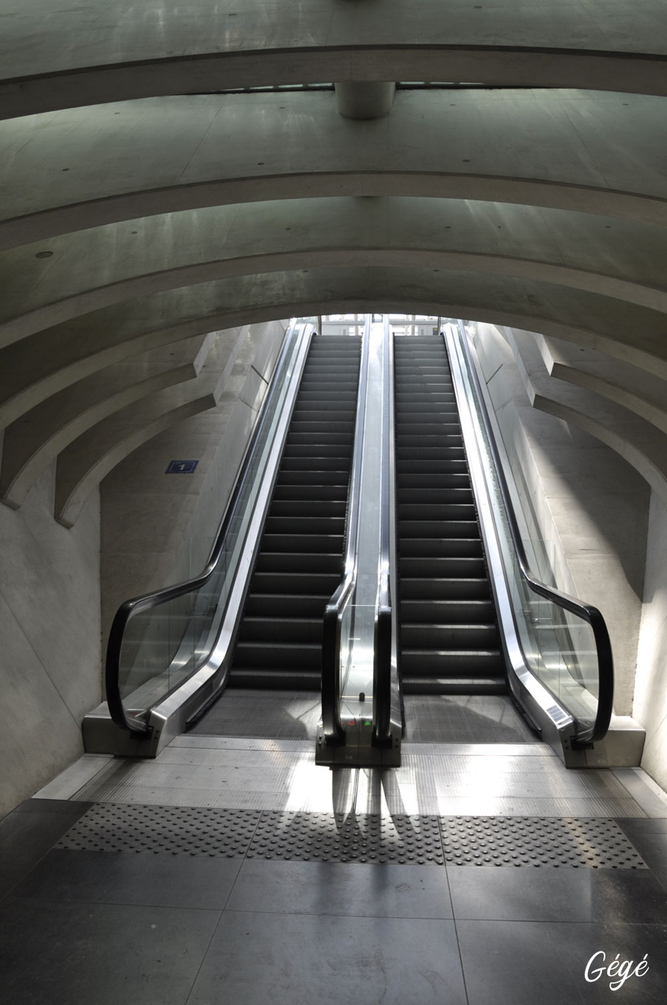 GareLiege03.thumb.jpg.63ef46298265143d711ef7e5d91527f9.jpg