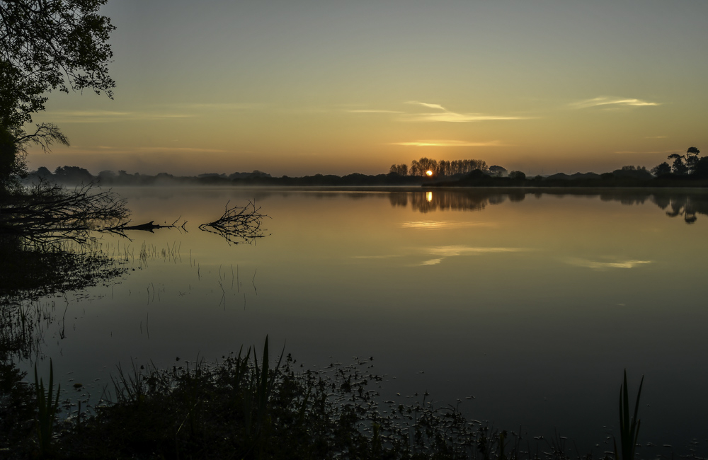 _DSC2651-1.JPG.5d123cc6ae0f88345d9fc889a238fd82.JPG