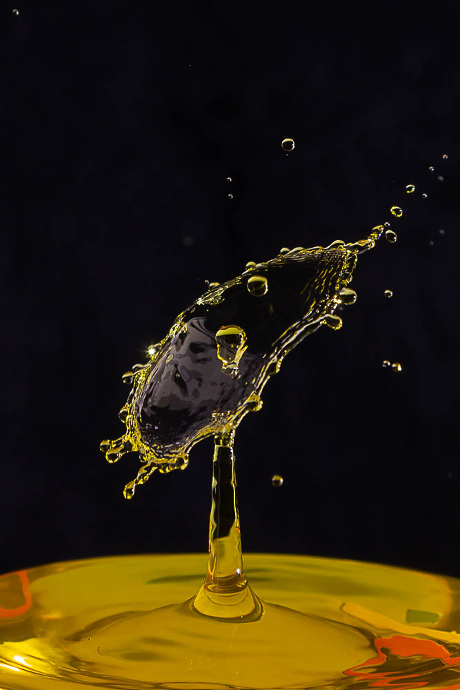 _HIL9623.jpg.1f17f01080a67a79533fa7ce740cc2aa.jpg