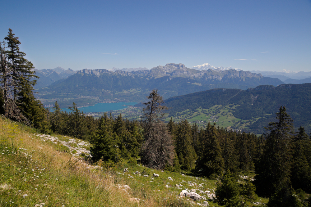 duSemnoz1785.jpg.7ce765fc64c13d19f89a363ad2906f30.jpg