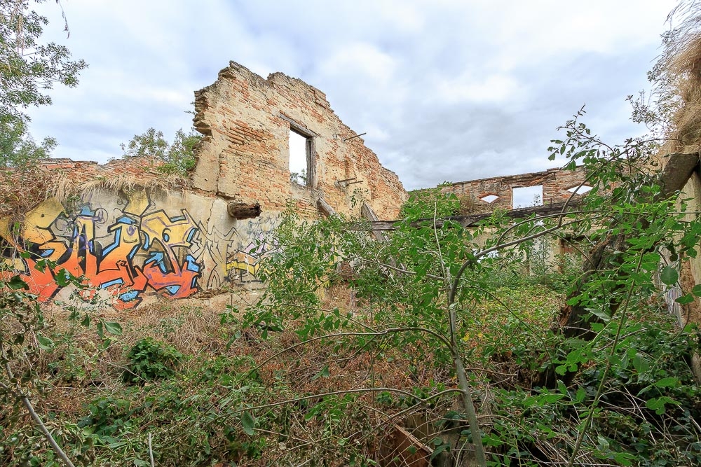 ruine.jpg.8ee26637215d860443052c4d98bd5c46.jpg