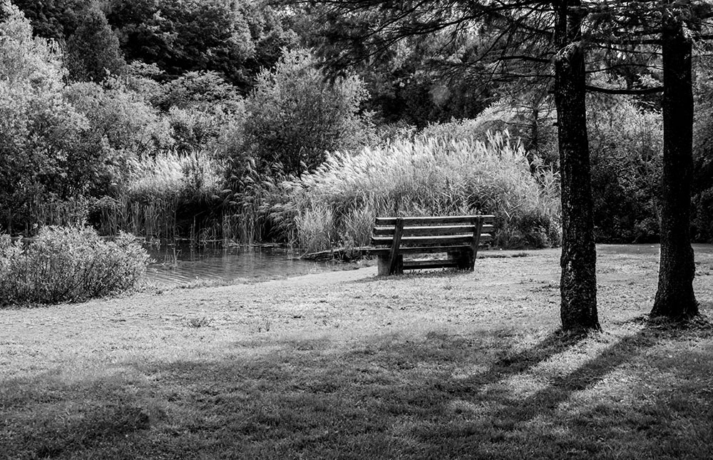 800157212_16092020-20200916parcBoisdeBelleRivireDSC00116BNweb.jpg.c152023a77386fe0220d9e9ccef5731b.jpg