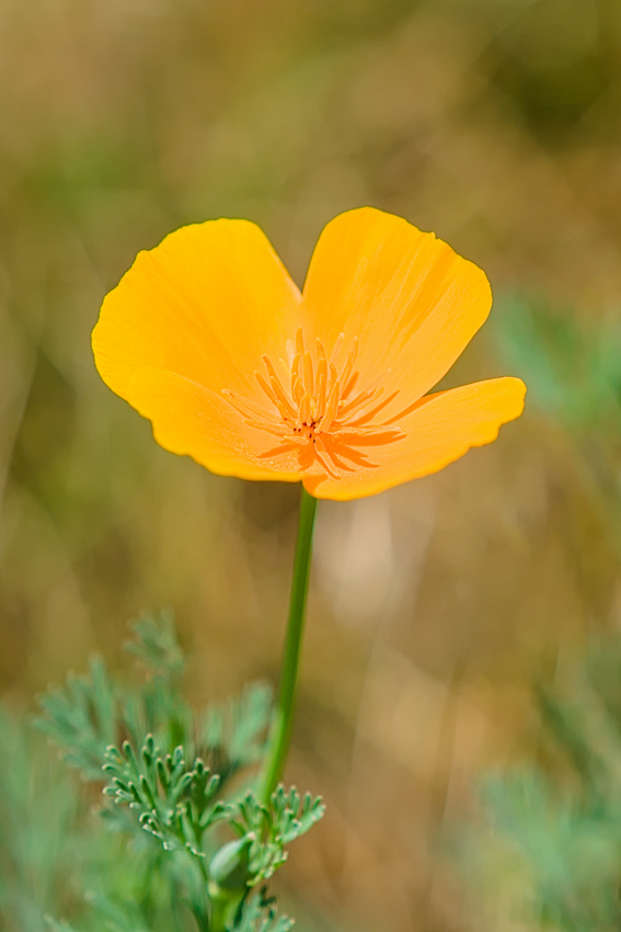 VHA07891.jpg