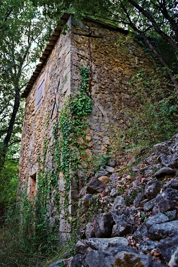 maisonnette.jpg.c62b2f9ace64b6c92872bd5c211d9059.jpg