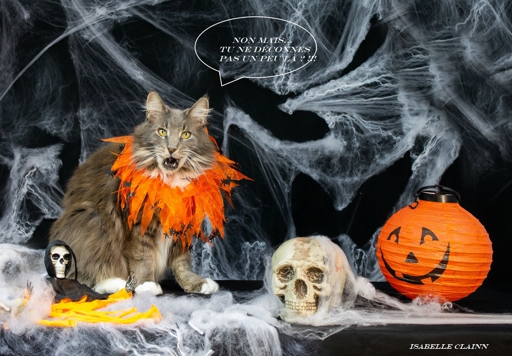 chalowween 3 - Copiefp.jpg