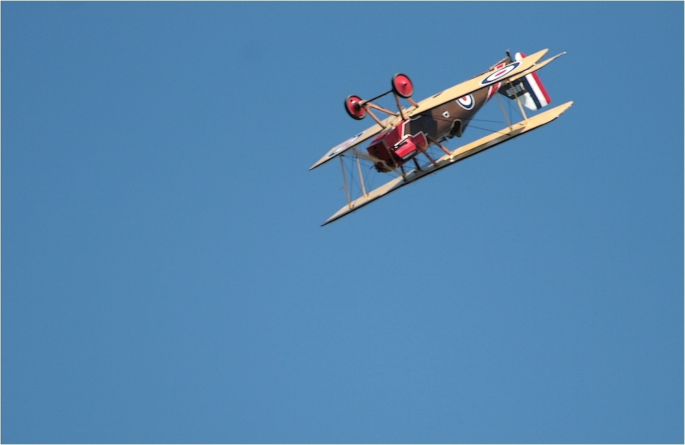 1421848736_IMG_8859-leSE5-royalaircraft-1916-1000bis.JPG.de1d631bc1515b7c54ac486ce10df48a.JPG