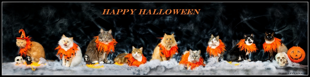 chalowween 14 - Copie - Copie fp.jpg