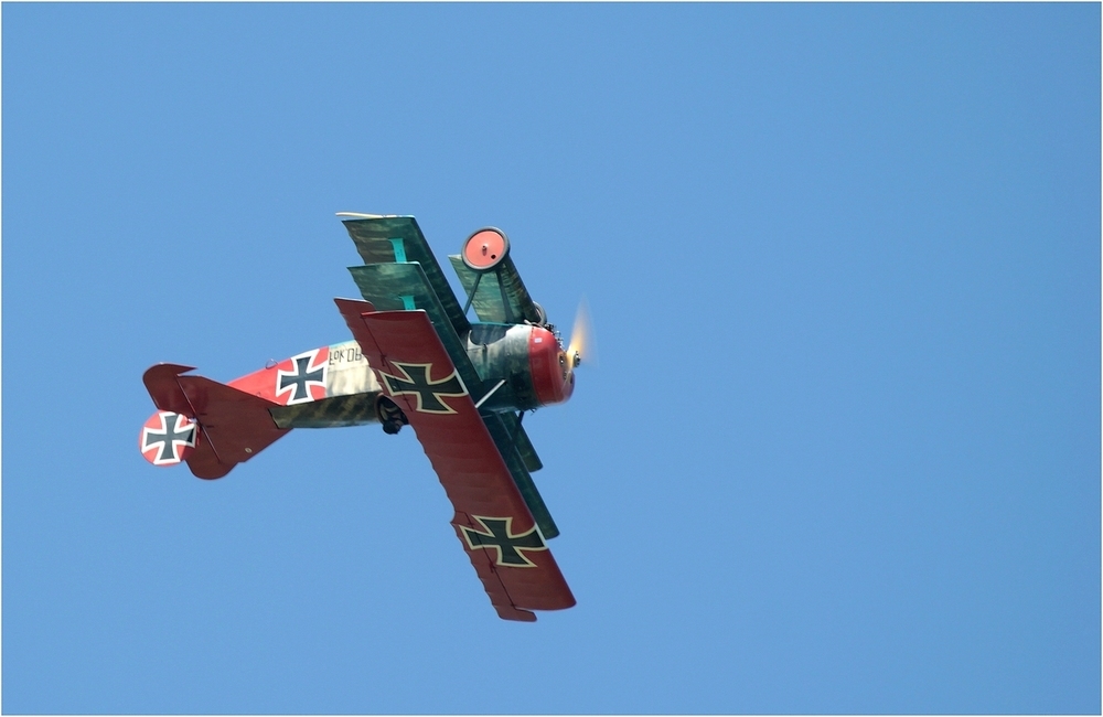 344493802_IMG_6406triplanfoker-1000-1919.jpg.6faa8d92a3a61e9e37cdd5b16d917210.jpg