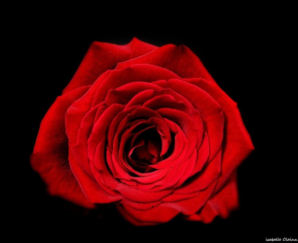 59b985f0c3968_G2FP.jpg