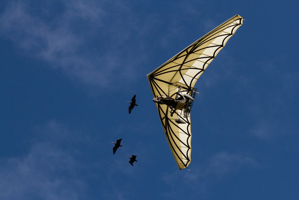 738585020_puydufou01.jpg.9b53c17fdb69a87fbb562314b5cf2cfc.jpg