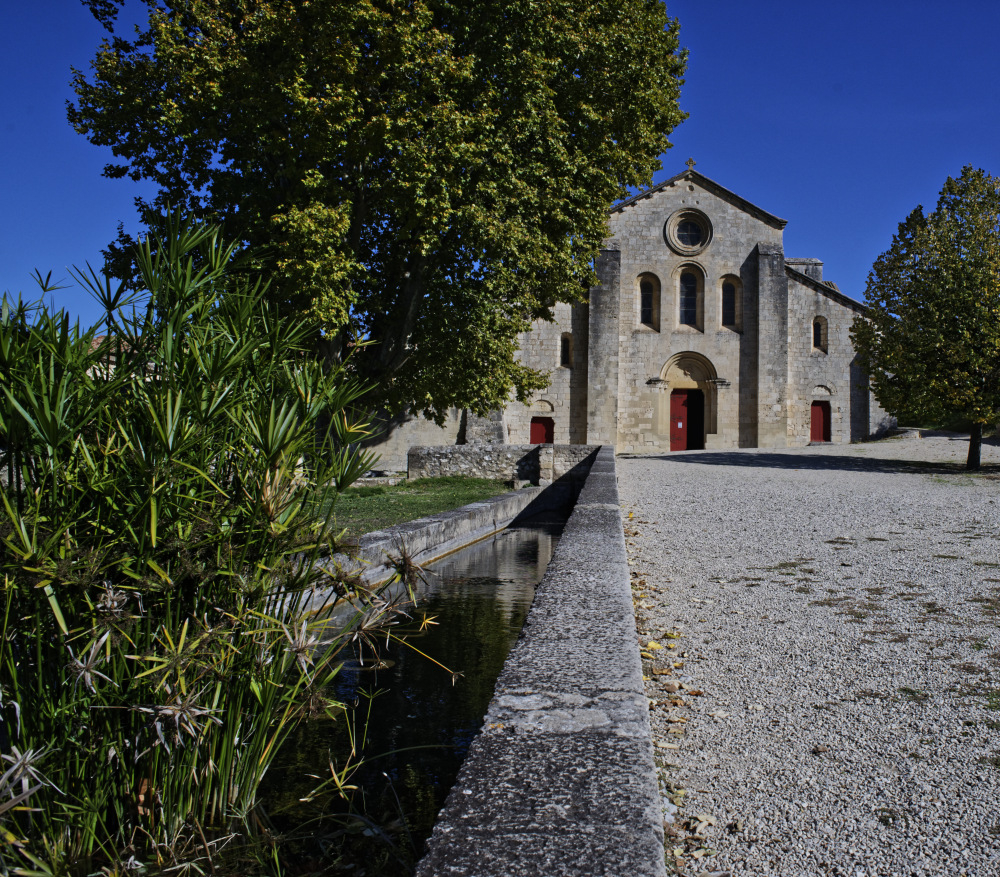 _DSC4403_DxO_1.jpg.4fe5221d6ce6c3d4fbd5c3f35450e782.jpg