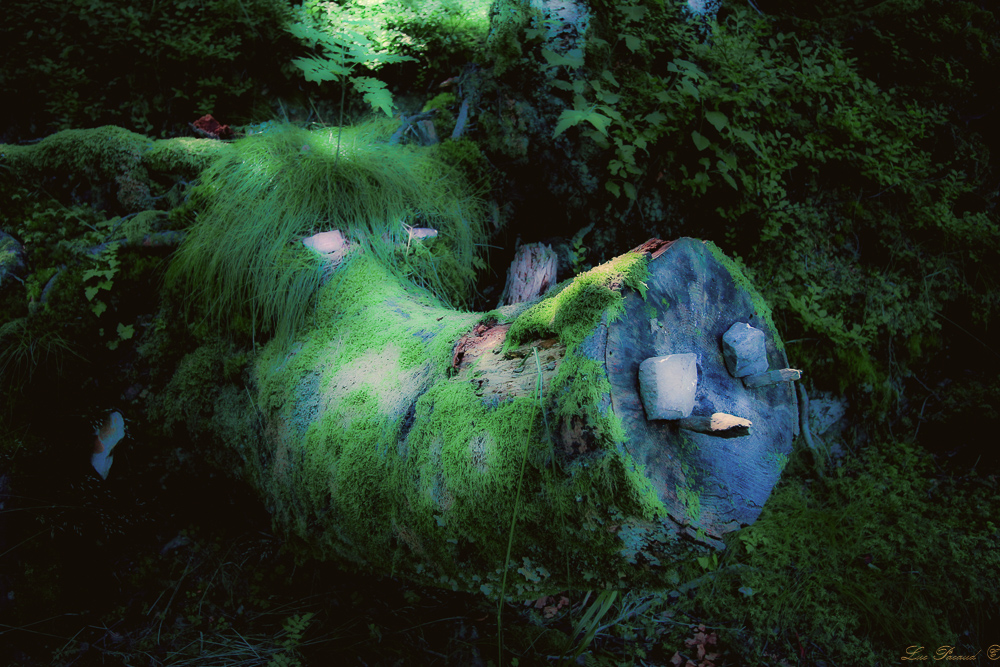 1452075504_2016_08_12-H15_16_21-N3234-Modifier-Modifier-Modifier-2.jpg.742b4b55489b9df449a5f67811cb6c25.jpg
