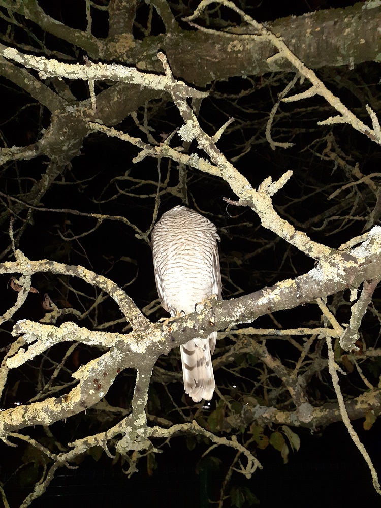 20201118_204353.jpg