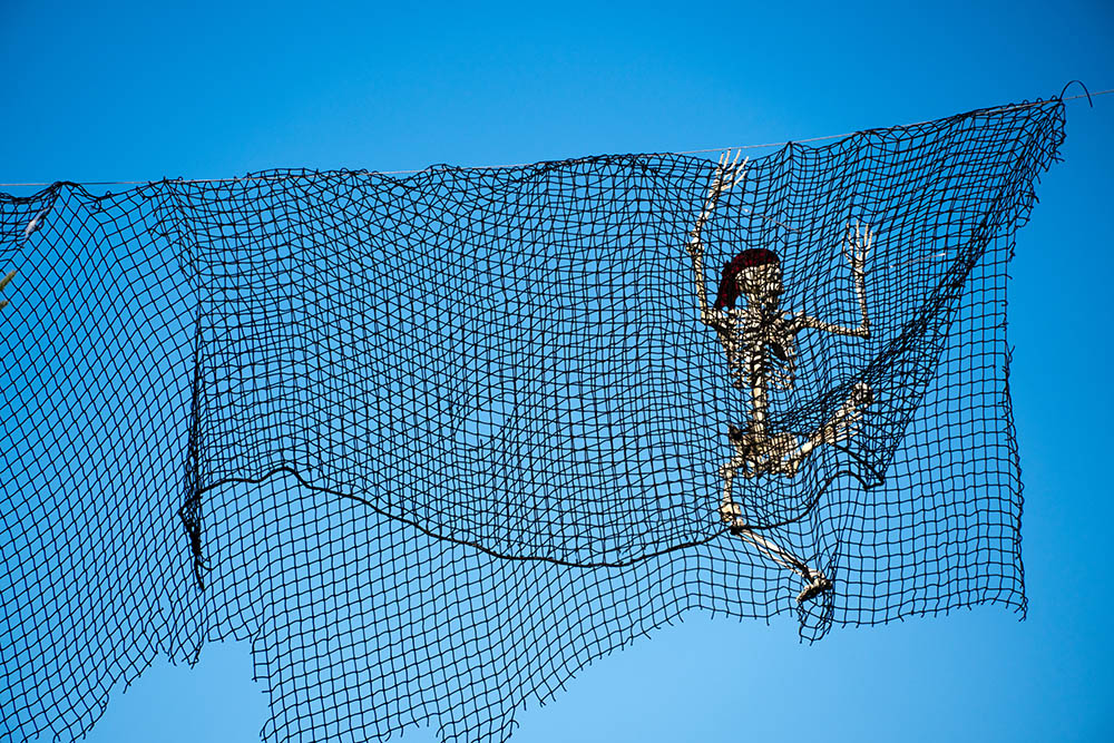 251286382_20201101HalloweenDSC00772web.jpg.604db26cb9b6d5aba8eb1bfd2668a3dc.jpg