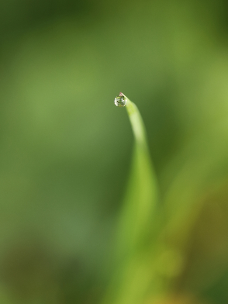 2G6A7313.JPG.b99ec3f66f3abc8d9cd7a54917af18f0.JPG
