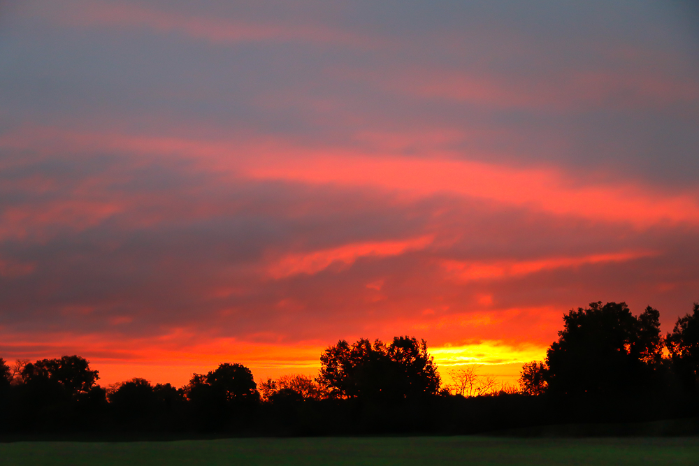 430262211_cieldunmatin_.jpg.e57b32358570256b7ada53e86b084512.jpg