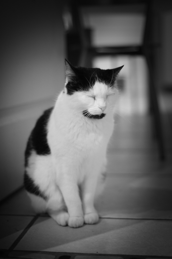 Bogey4545NB.jpg.d1c8c4cd3ece83315c8d211068d04a97.jpg
