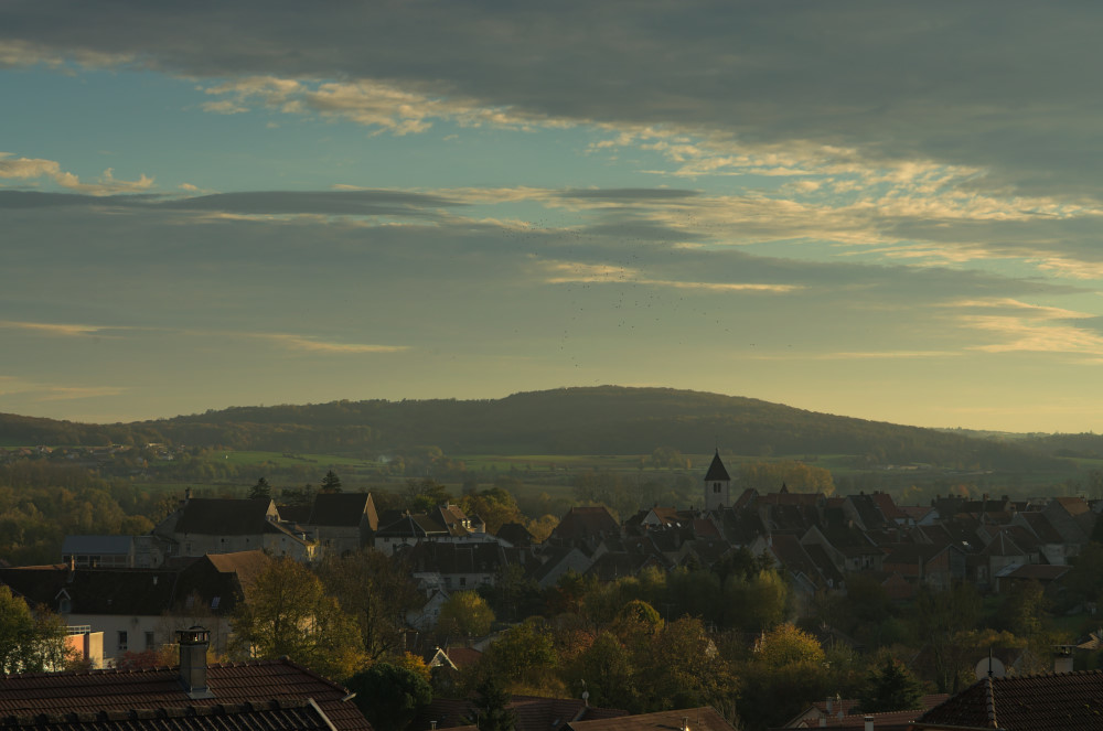 DSC_0112.JPG.4a067d70029e5a7ad84f7b6900345b78.JPG