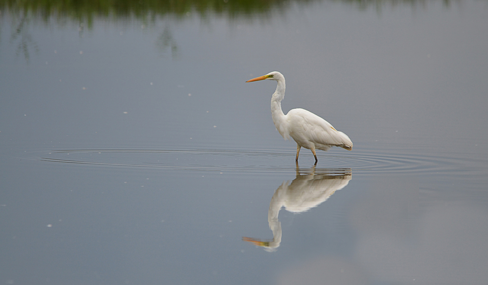 DSC_3147_01.JPG
